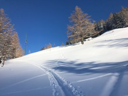 A track cuts through powder snow, with blue sky in the background.