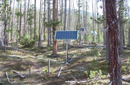 Forest soil moisture station in the Swiss National Park.