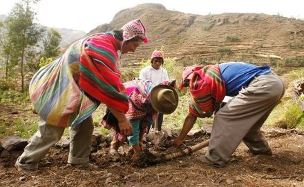 Farmers with typical Andean clothing working in the field. They are the target group of Climandes.