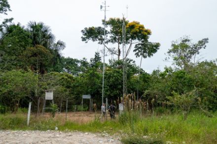  Image of measuring station in the Amazon region in Ecuador