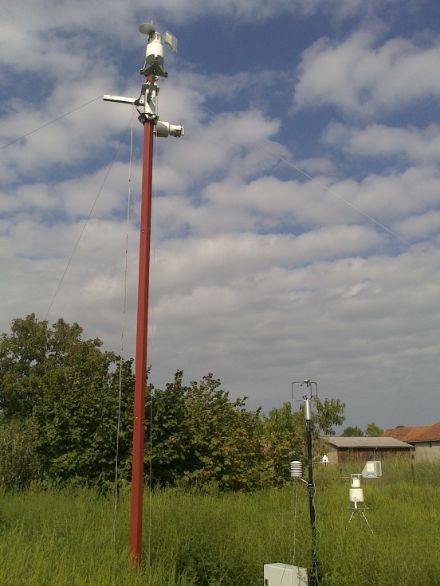picture of study site