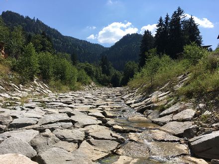 The picture shows the dried-up riverbed of the Grossbach in summer 2018.
