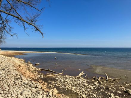 Photo of Lake Constance near Steinach in April 2025. The water level reached a seasonal low due to snow deficit and the low-precipitation winter half-year 2024/2025.