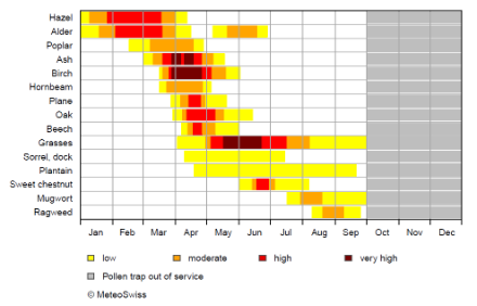  	Table showing the main plant species that release allergenic pollens The coloured bars show how great the pollen load is in which months.