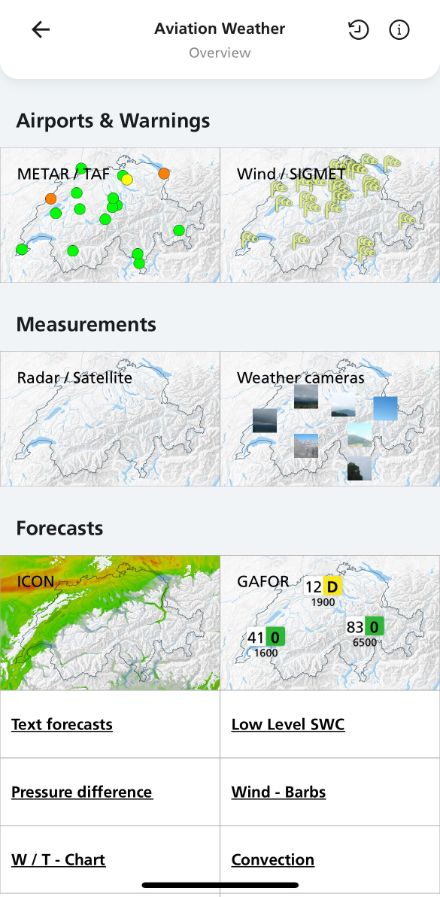 What content does the in-app Aviation Weather function include?