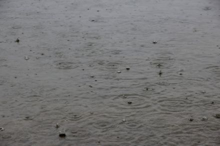 Raindrops landing on Türlersee 