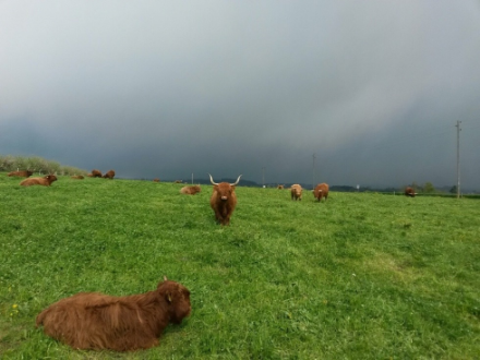 April weather at Greifensee on 24 April 2016.