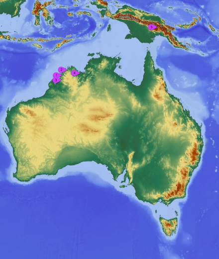 Map showing the regions in Oceania with the most lightning.