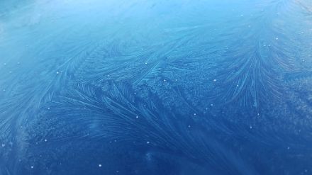Frost flowers on a windscreen.