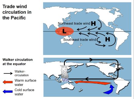 Map of the Pacific region showing the features of trade wind circulation.