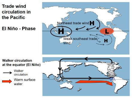 Map of the Pacific region showing the features of El Niño circulation.