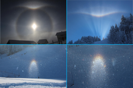Four images of halos near the ground.