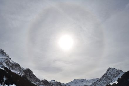 halo