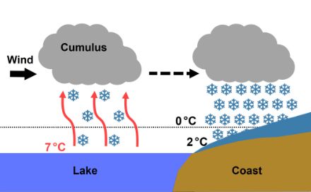 Schematic diagram showing the formation of a shower due to the lake effect.