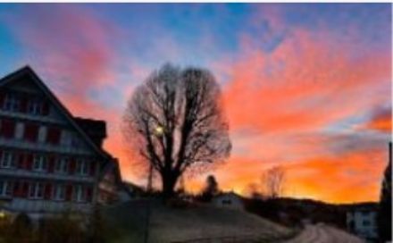 Sunrise behind a house and a tree.