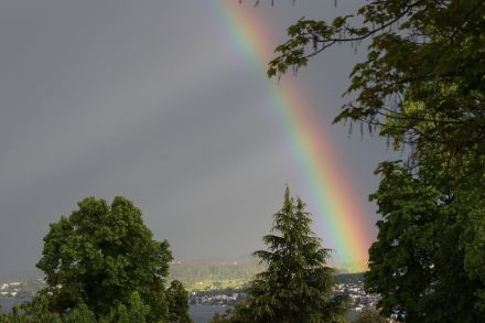 Picture of a rainbow; the raindrops shine in the colours of the spectrum.