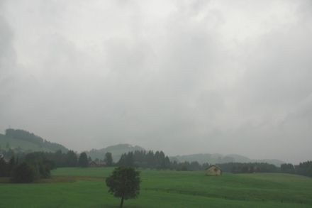 Nimbostratus