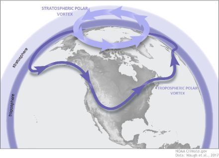 Schematic representation of the polar vortex.