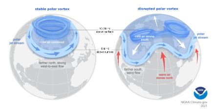 Schematic representation of a stable and disrupted polar vortex.