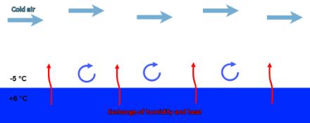 Illustration of the process leading to the formation of evaporation fog.