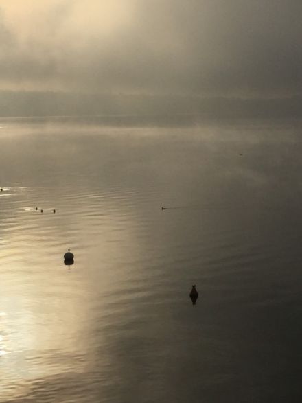 Image of evaporation fog over Lake Geneva.