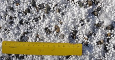 White pellets and a ruler