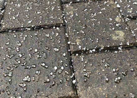 Whitish, semi-transparent, wet globules on paving stones.