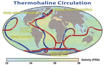 Map of the world with the salinity of the ocean coloured between the land masses and the ocean circulation marked with arrows. Warmer surface currents are shown in red, for example from the South Atlantic to Greenland, where the current turns into a cold (blue) deep current and flows back towards Antarctica.