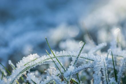 Gras mit Frost überzogen, Symbolbild. (Quelle: Picabay.com)