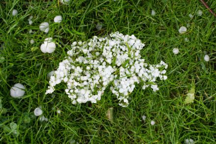 Many different sizes of hailstones in the shape of Switzerland on a green meadow.