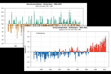 Temporal development of temperature and precipitation