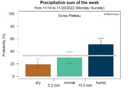 Monthly Outlook