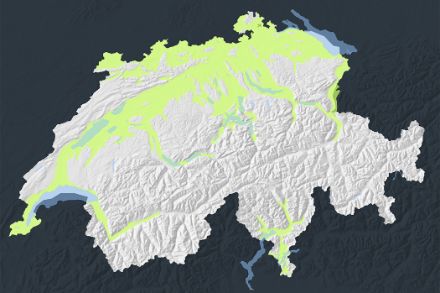 Forecast regions
