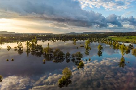  Aerial view of a flooded area with countless trees sticking out above the water